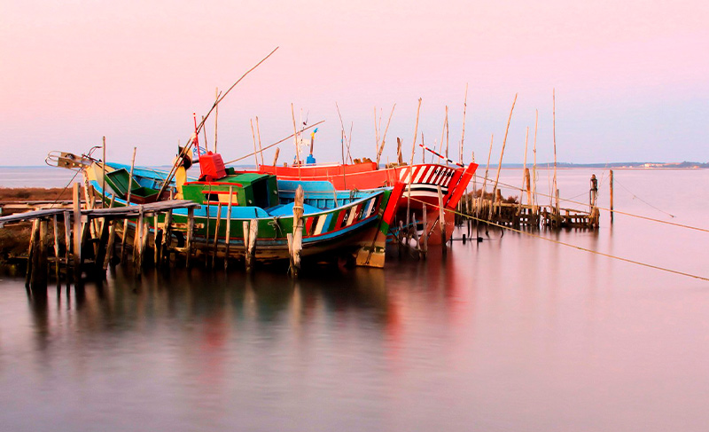 Alc&aacute;cer do Sal