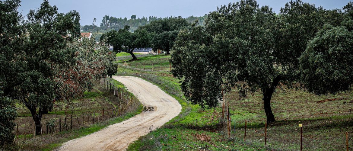 Seguranca-e-Ambiente-Rally-Raid